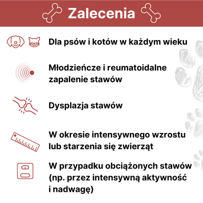 Arthrohard® Preparat Wspomagający Prawidłowy Rozwój I Funkcjonowanie Stawów U Psów I Kotów – Kolagen, Glukozamina, Chondroityna, MSM I Kwas Hialuronowy