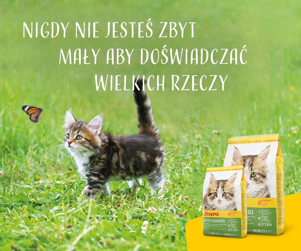 Josera Kitten Grainfree 10kg