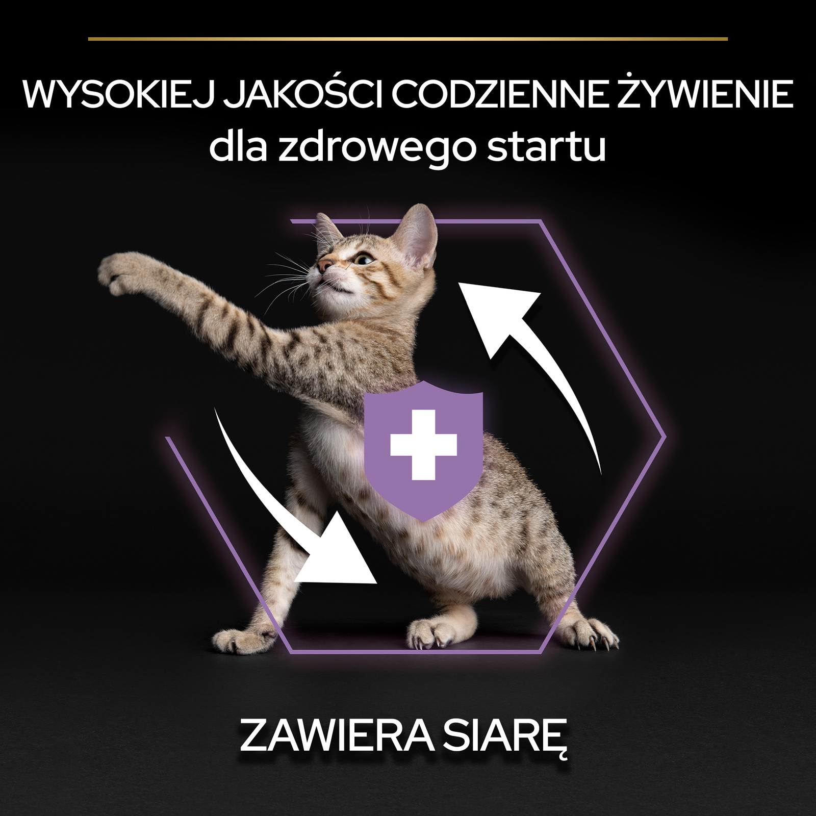 Purina Pro Plan Original Kitten Kurczak Z Ryżem 1,5kg
