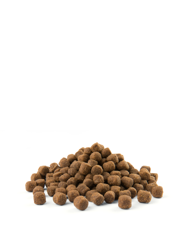 Versele-Laga Opti Life Adult Digestion Mini Z Jagnięcina I Ryżem 2,5kg