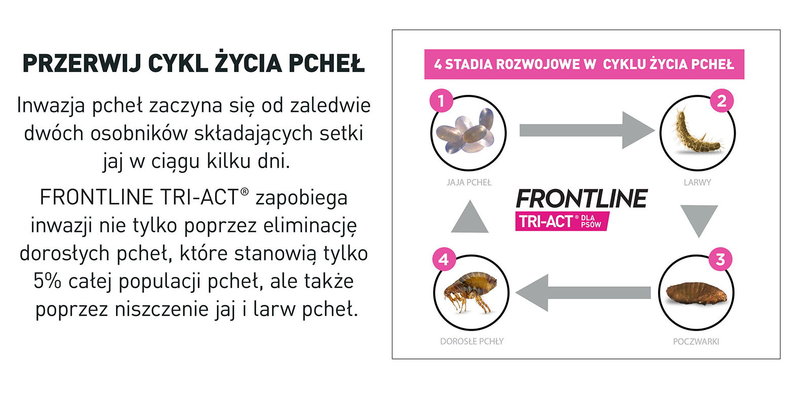 FRONTLINE Tri-Act Dla Psów 3x0,5ml