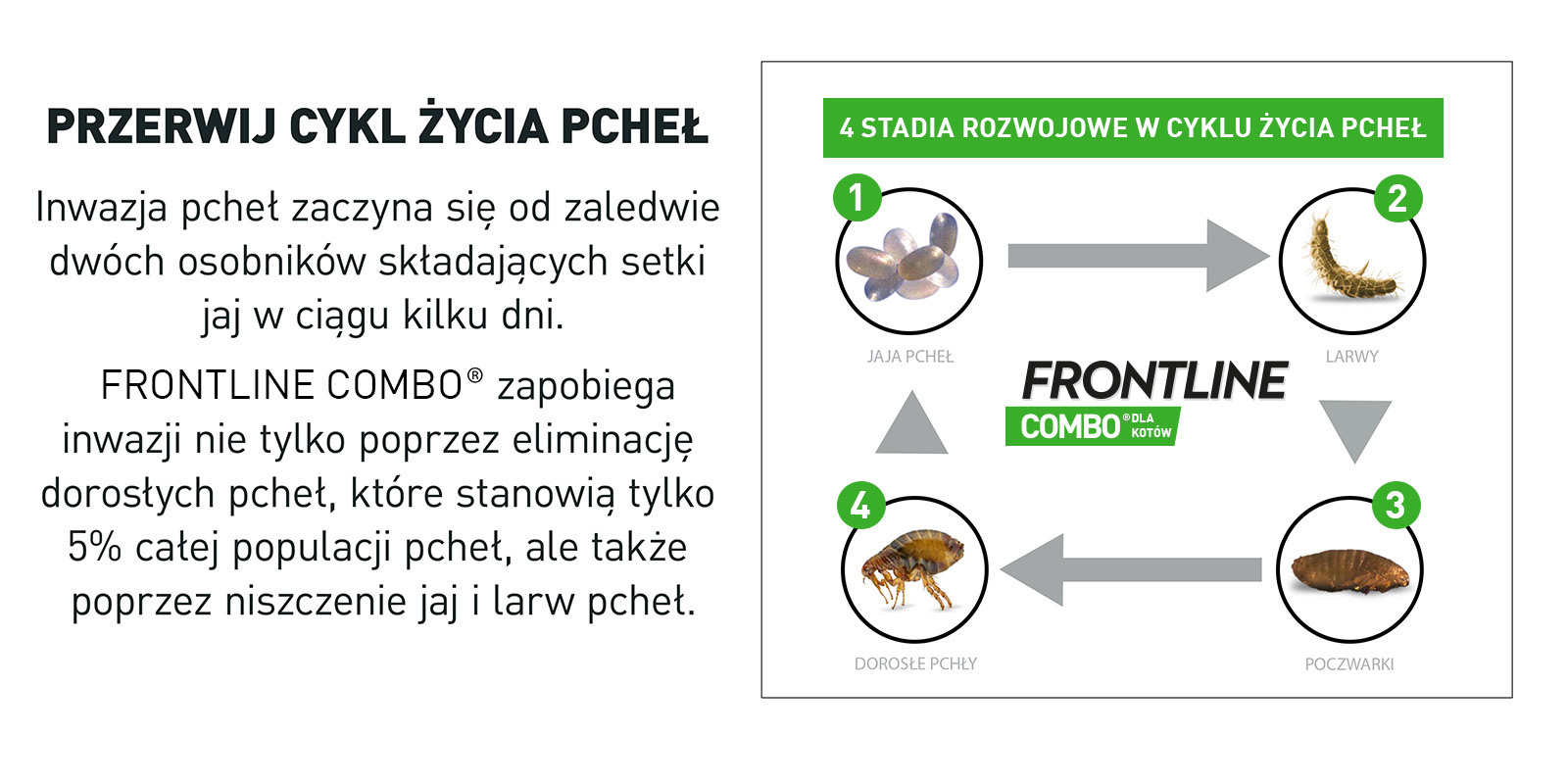 FRONTLINE Combo Spot-On Dla Kotów 3x0,5ml