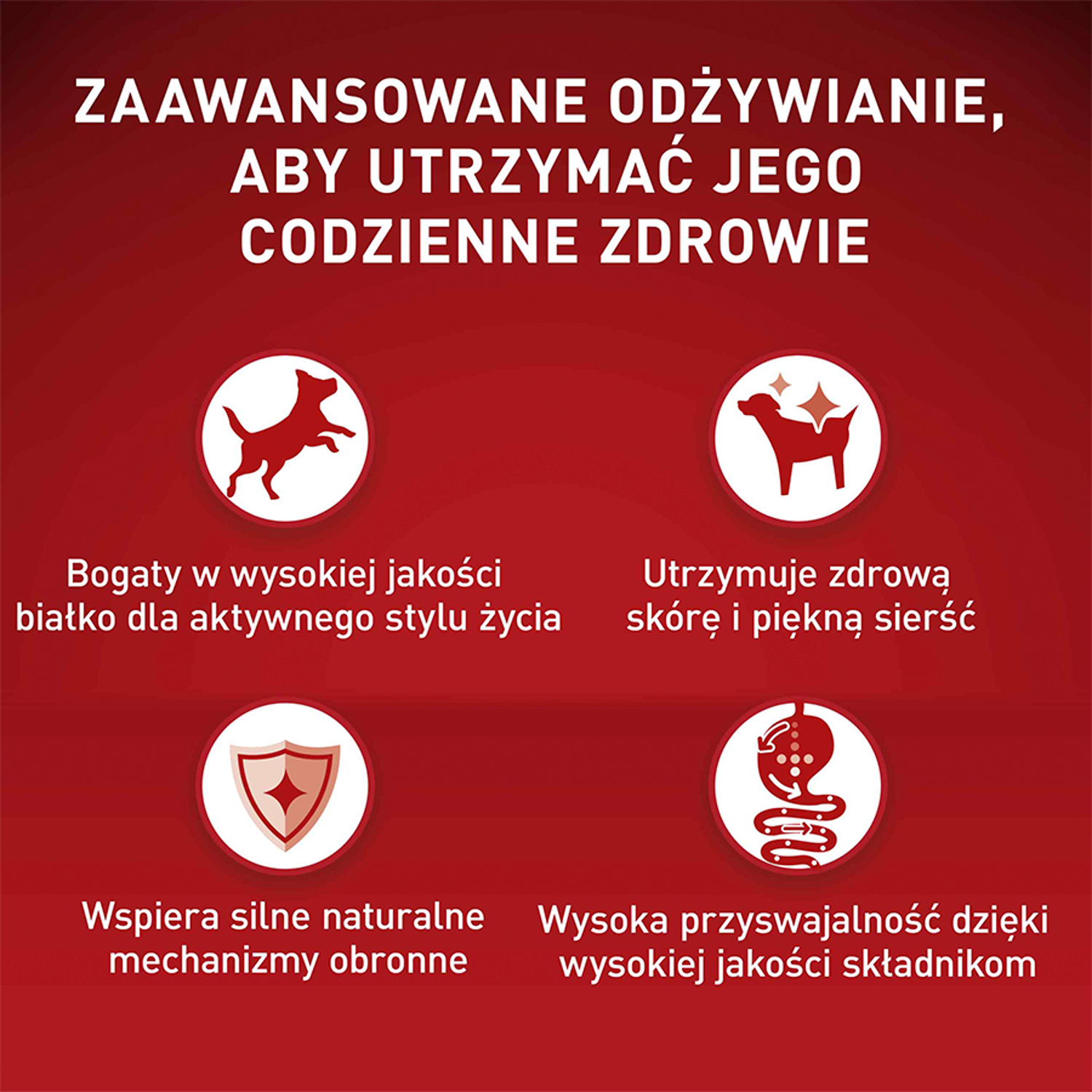 PURINA ONE Mini Adult Wołowina, ryż - sucha karma dla psa - 800g