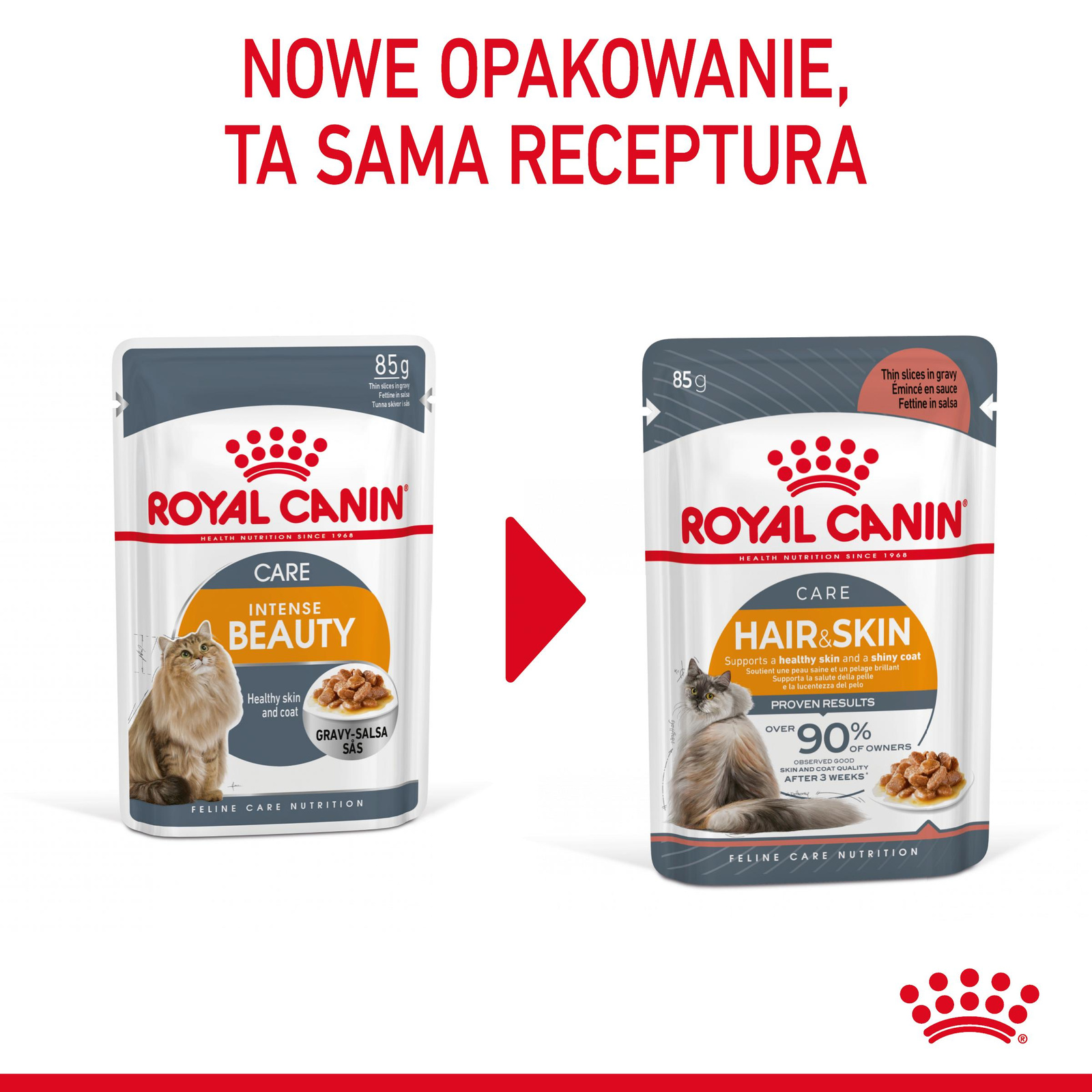 ROYAL CANIN Intense Beauty Gravy 12x85g