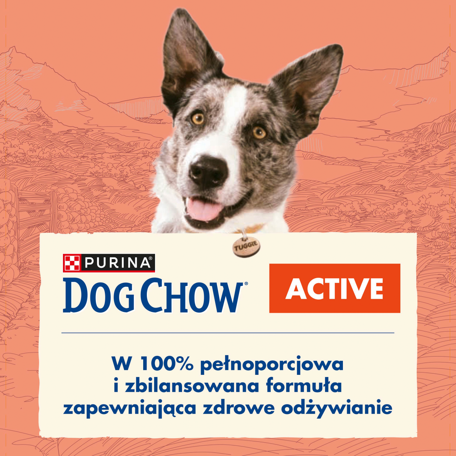Purina Dog Chow Active Adult Z Kurczakiem 14kg