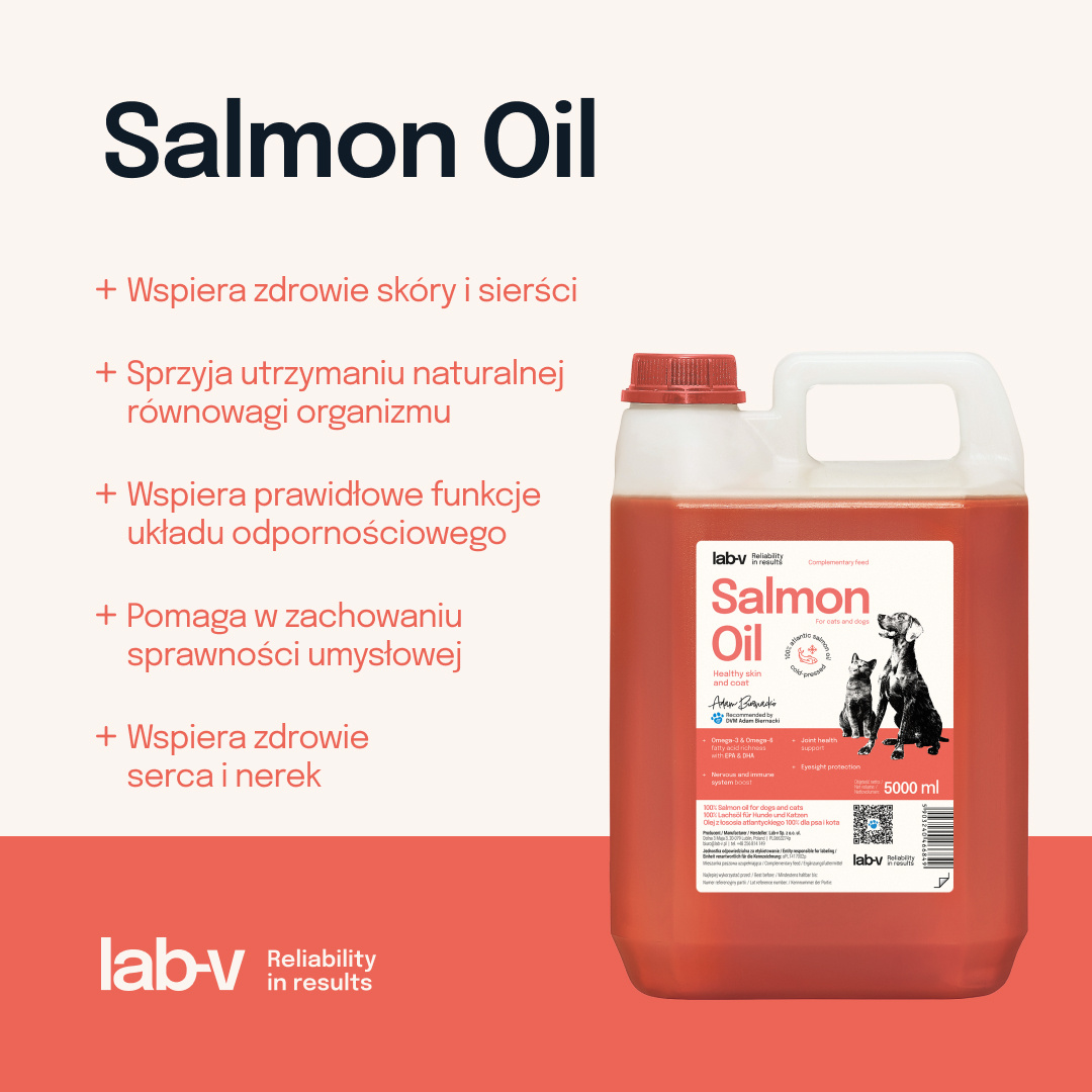 Lab-V Olej Z Łososia 100% Dla Psa I Kota W Każdym Wieku 5000ml Tłoczony Na Zimno