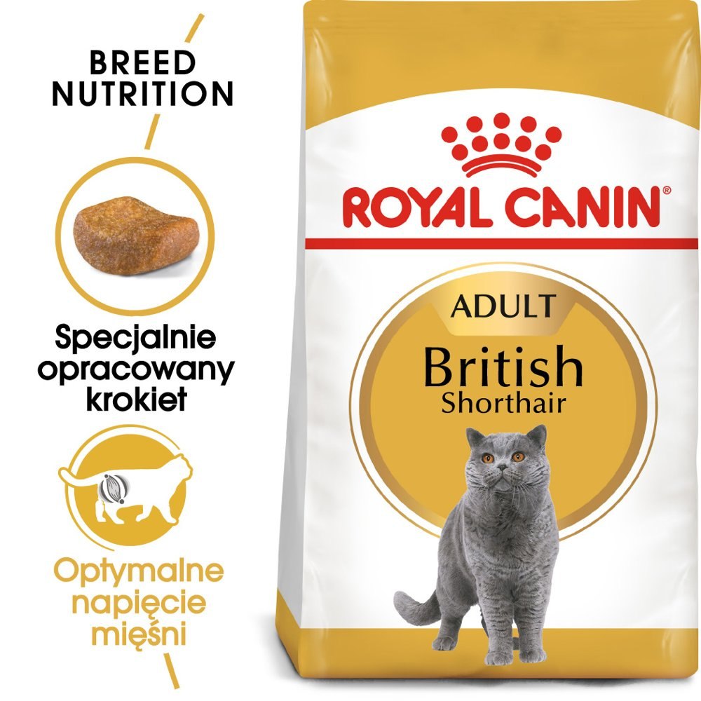 ROYAL CANIN British Shorthair Adult 10kg