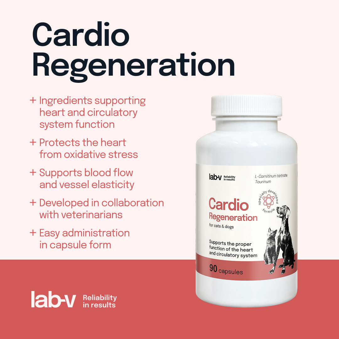 Lab-v Cardio Regeneration 90 kapsułek – wsparcie serca dla psów i kotów