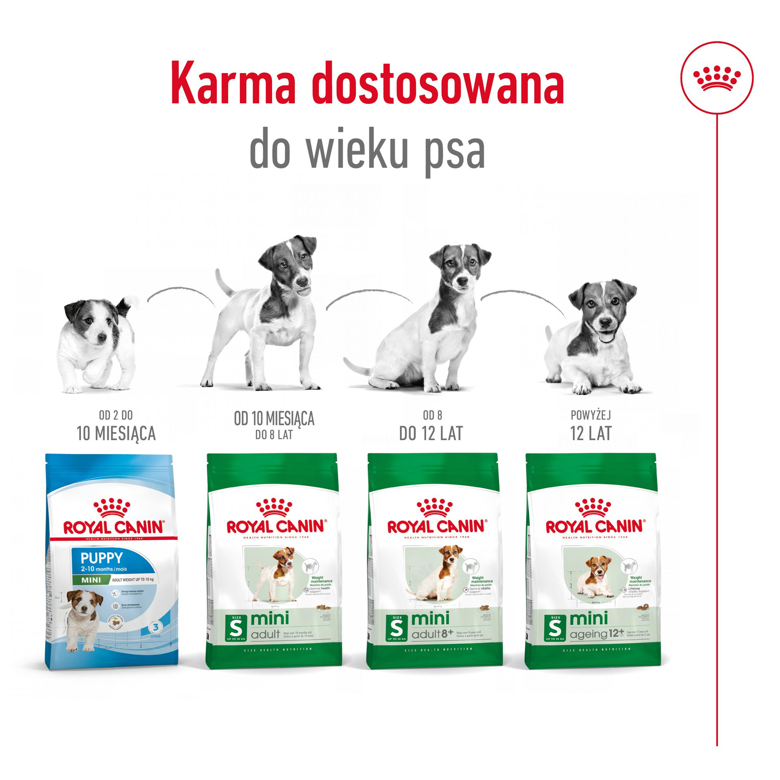 ROYAL CANIN Mini Adult 4kg
