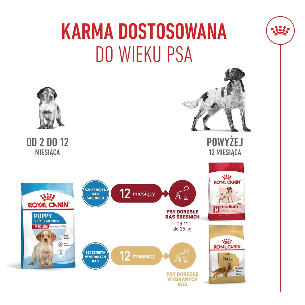 ROYAL CANIN Medium Puppy 1kg