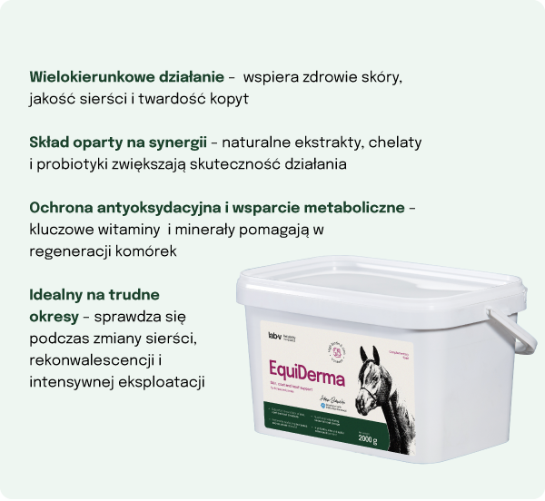 Lab-v EquiDerma Mieszanka paszowa uzupełniająca dla koni i kucyków wspierająca kondycję skóry, sierści i kopyt 2000g