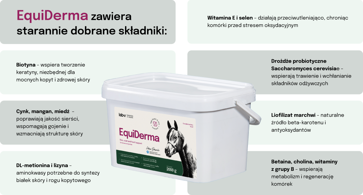 Lab-v EquiDerma Mieszanka paszowa uzupełniająca dla koni i kucyków wspierająca kondycję skóry, sierści i kopyt 2000g