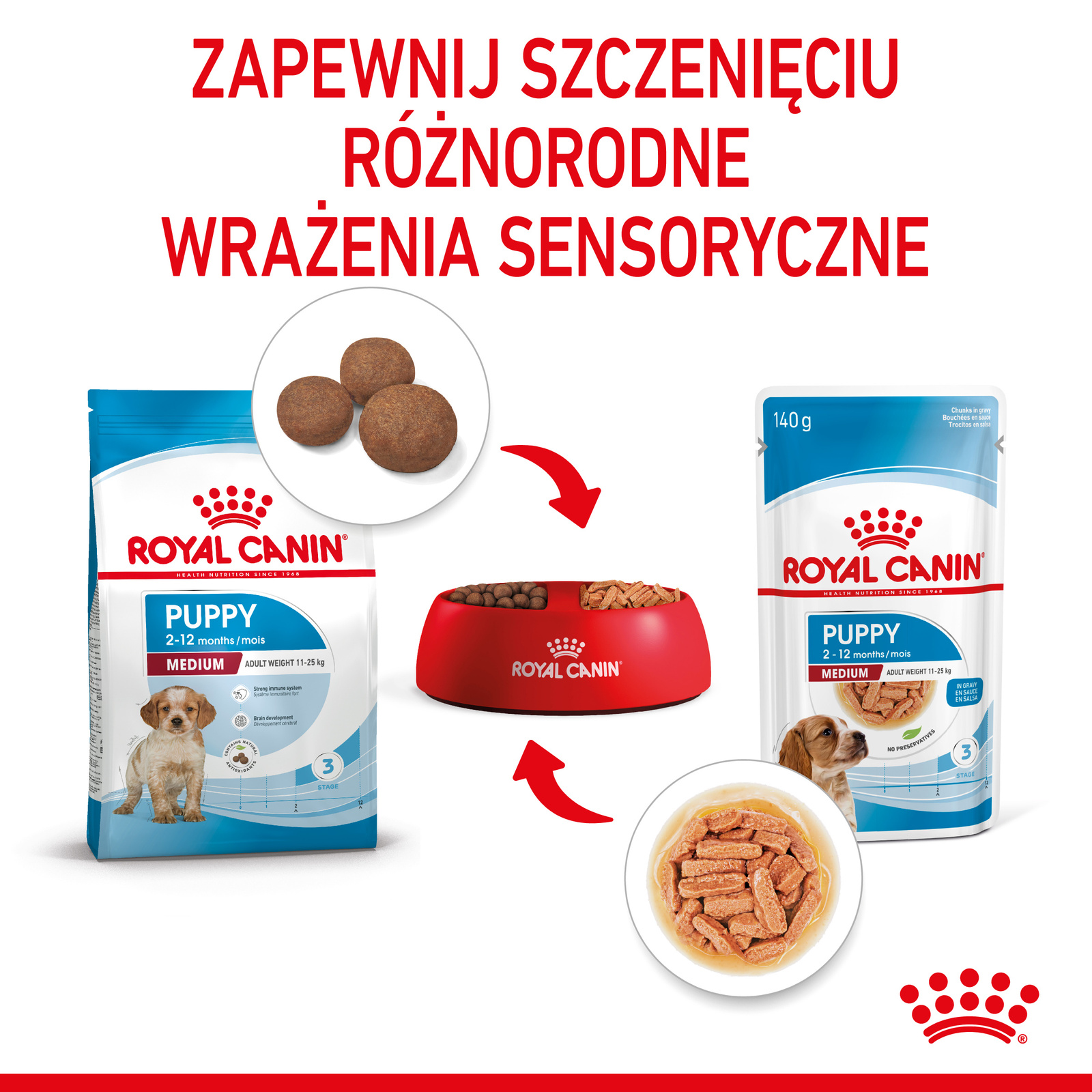 ROYAL CANIN Medium Puppy 10x140g