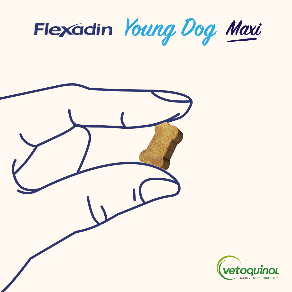 Vetoquinol Flexadin Young Dog Maxi Kąski Dla Psa 60 Sztuk