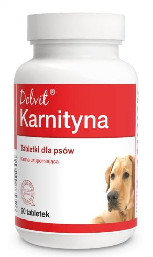 Dolfos Dolvit Karnityna 90 Tabletek