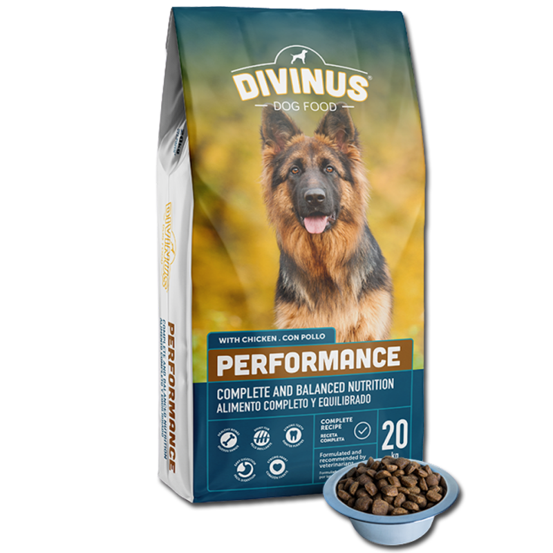 Divinus Performance Karma Sucha Dla Psów Owczarek Niemiecki 20kg