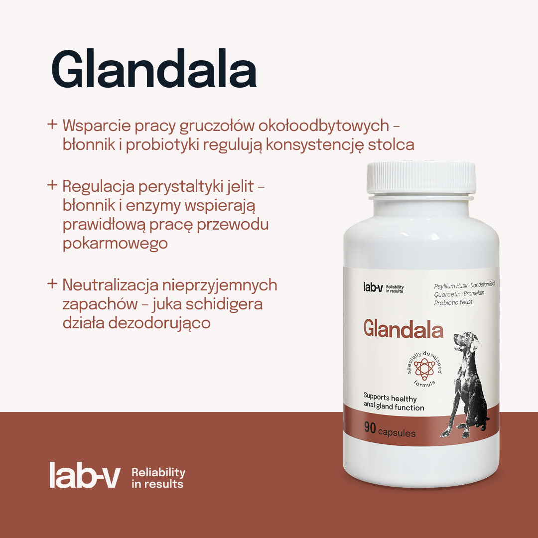 Lab-v Glandala Wsparcie Gruczołów Okołoodbytowych i Przewodu Pokarmowego 90 Kapsułek