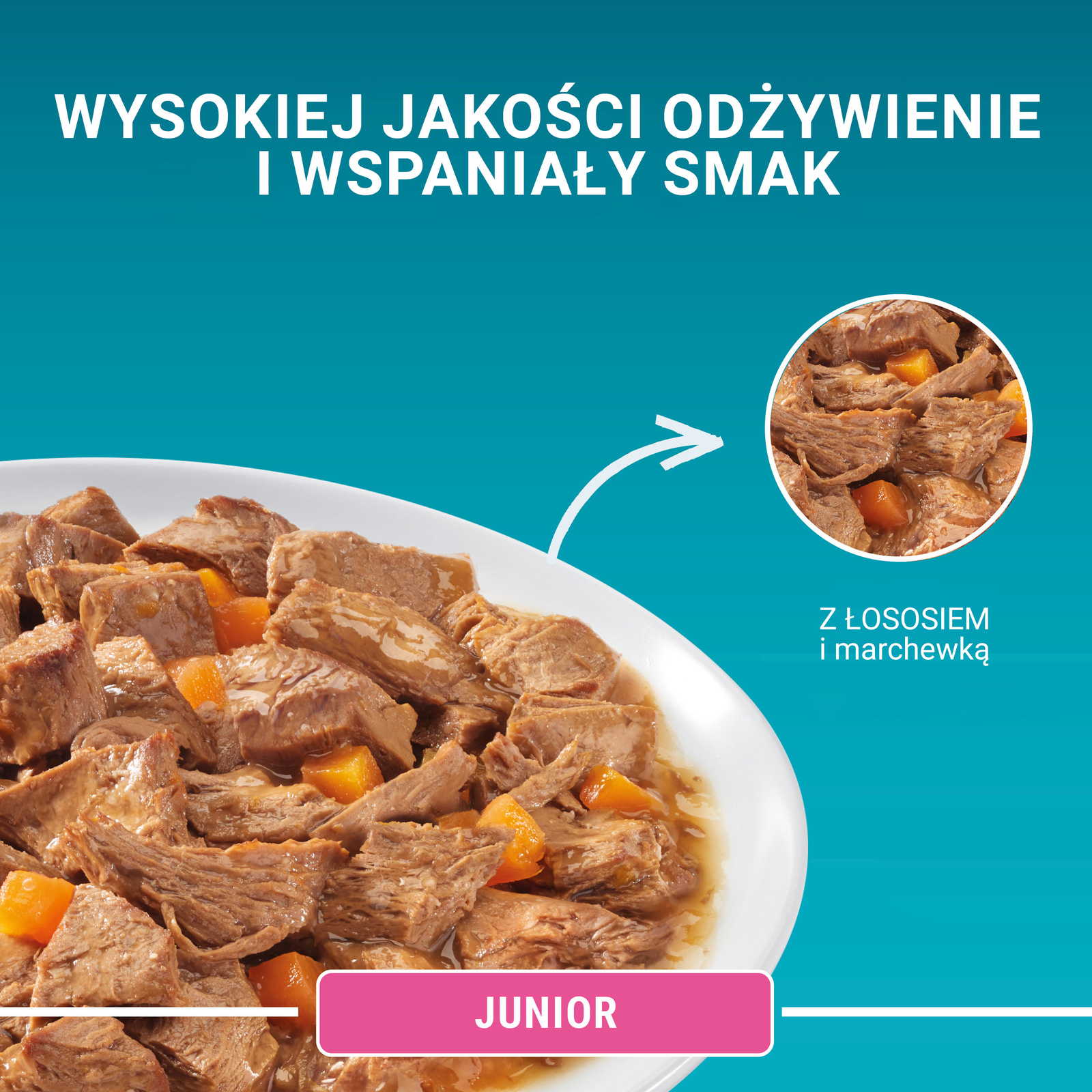 Purina One Junior Karma Dla Kociąt Z Łososiem I Marchewką 85g