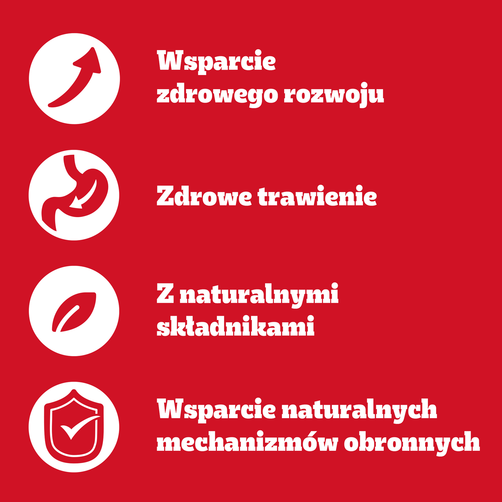 Pedigree Mokra Karma Dla Szczeniąt Mix Smaków Kurczak Z Ryżem, Jagnięcina Z Ryżem, Drób Z Ryżem I Wołowina Z Ryżem W Galaretce 12x100g