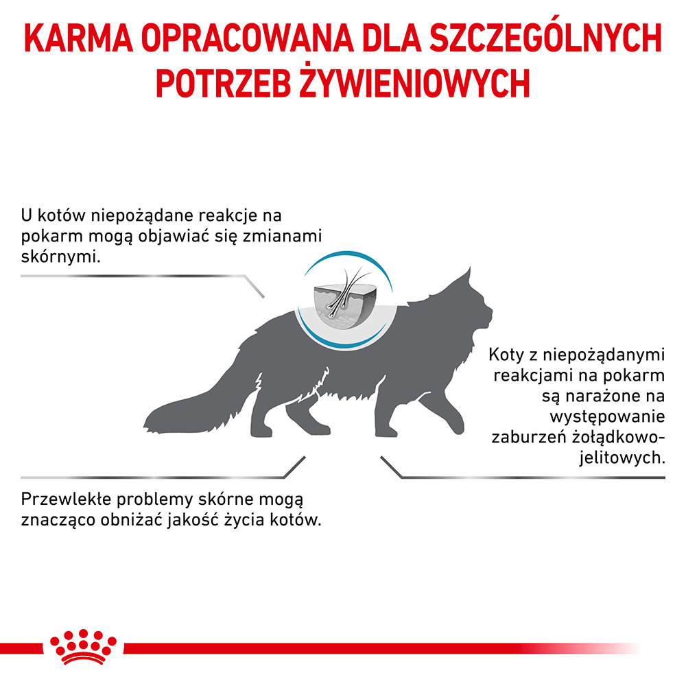 ROYAL CANIN Anallergenic Cat 4kg