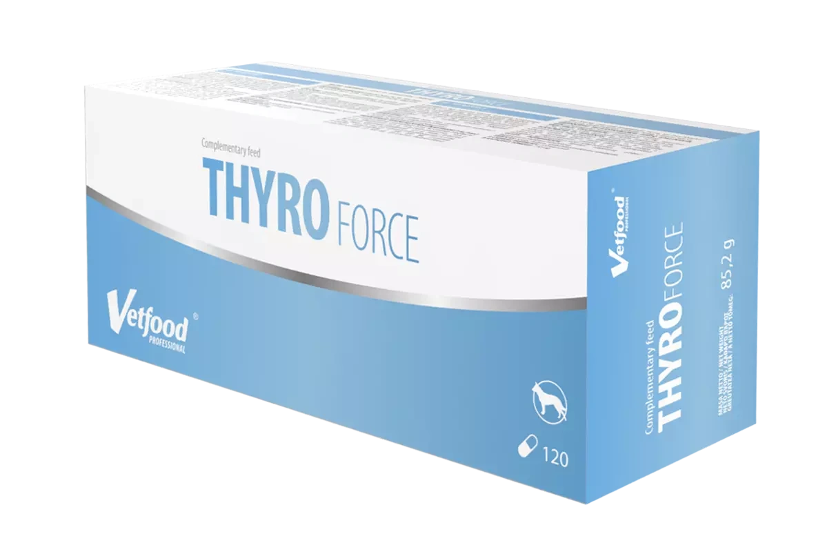VETFOOD Thyroforce 120tab