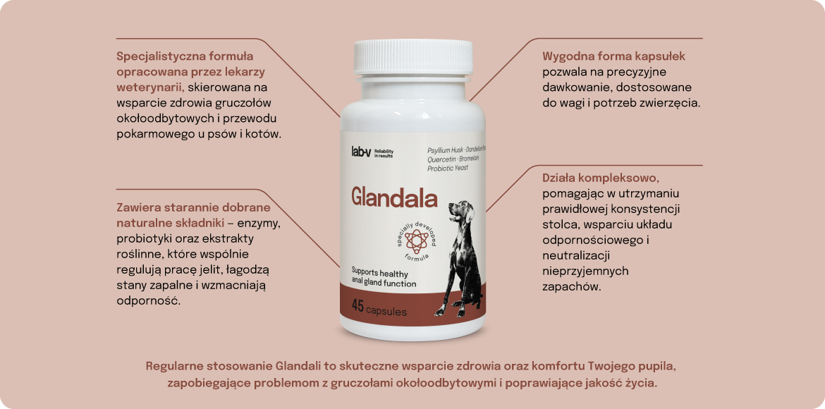 Lab-v Glandala Wsparcie Gruczołów Okołoodbytowych i Przewodu Pokarmowego 45 Kapsułek