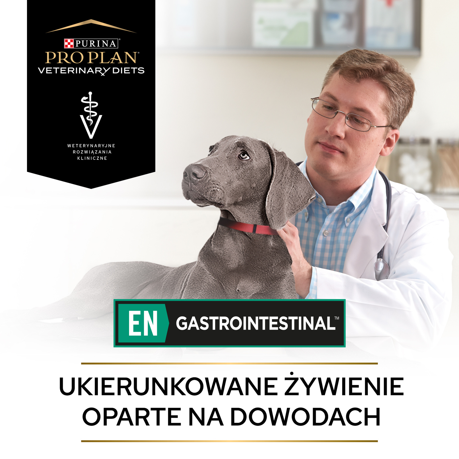 Pro Plan Veterinary Diets En Gastrointestinal Karma Dla Psa Mus 195g