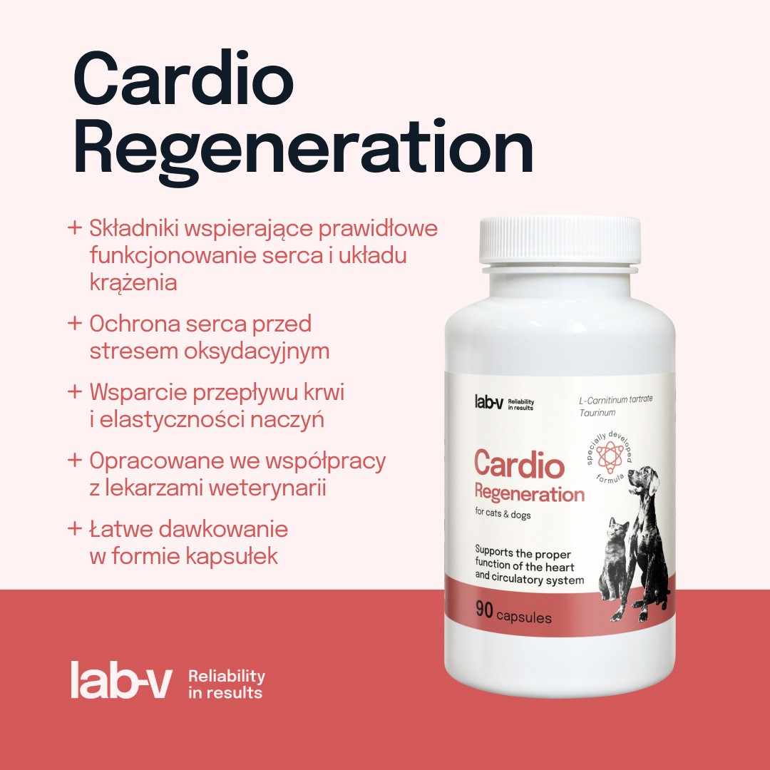 Lab-v Cardio Regeneration 90 kapsułek – wsparcie serca dla psów i kotów