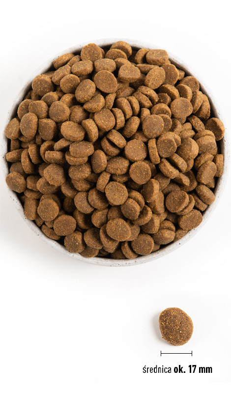 Acana Heritage Adult Large Breed 17kg