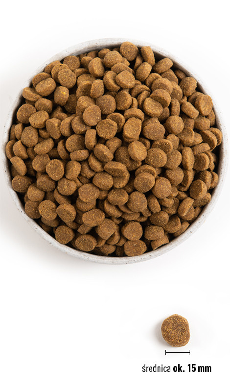 ACANA Puppy Large Breed 17kg