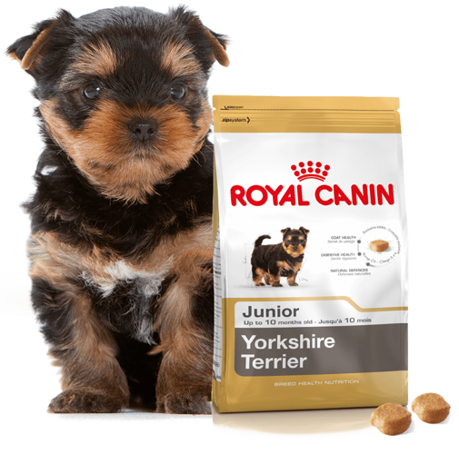 ROYAL CANIN Yorkshire Terrier Puppy 500g