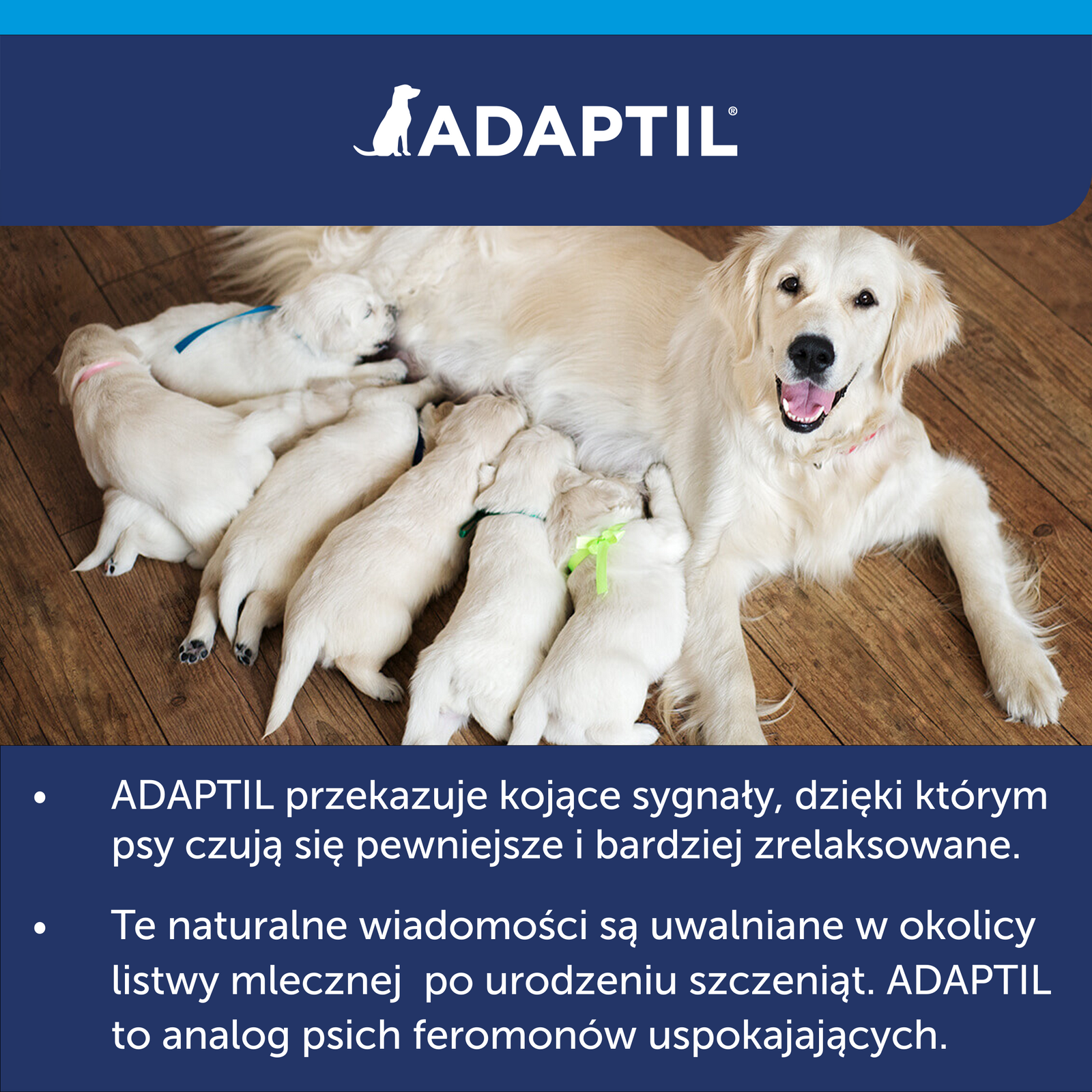 Ceva Animal Health Polska Sp. Z O.o. Adaptil Dyfuzor 48ml
