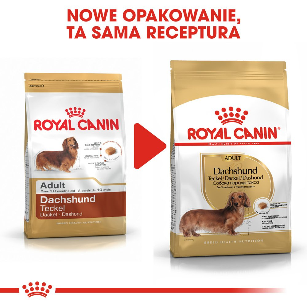 ROYAL CANIN Dachshund Adult 7,5kg
