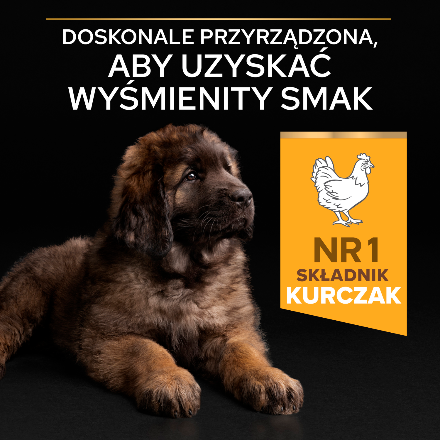 Purina Pro Plan Large Puppy Robust Optistart Kurczak I Ryż 12kg