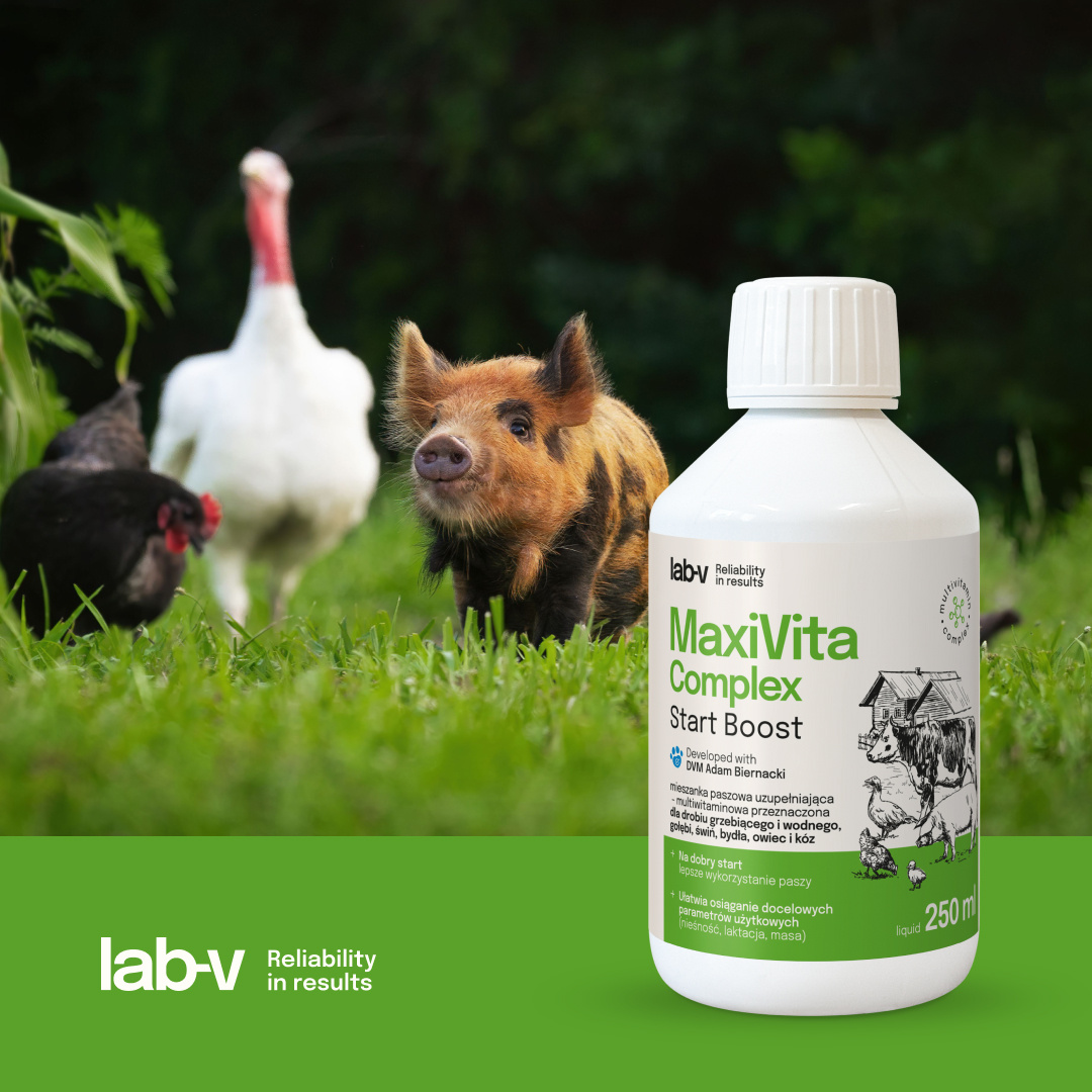 Lab-v MaxiVita Complex — płynna multiwitaminowa mieszanka paszowa uzupełniająca dla drobiu, gołębi i zwierząt gospodarskich, 1000 ml