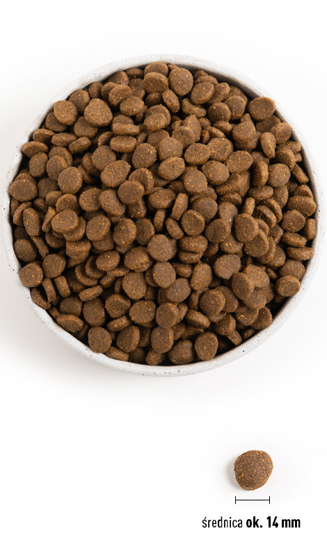 ACANA Grasslands Sucha Karma Dla Psów Wszystkich Ras 2Kg