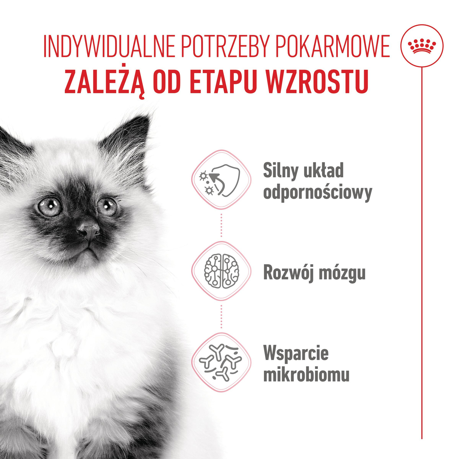 ROYAL CANIN Kitten 400g