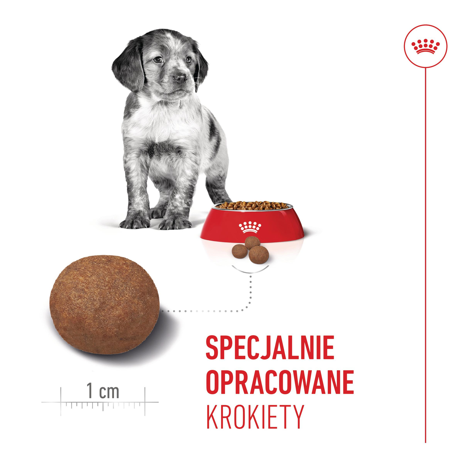 ROYAL CANIN Medium Puppy 15kg