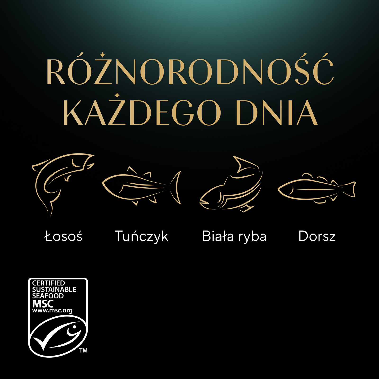 Sheba Delicacy Rybne Smaki W Galaretce, Z Łososiem, Z Białą Rybą, Z Tuńczykiem, Z Dorszem 80x85g