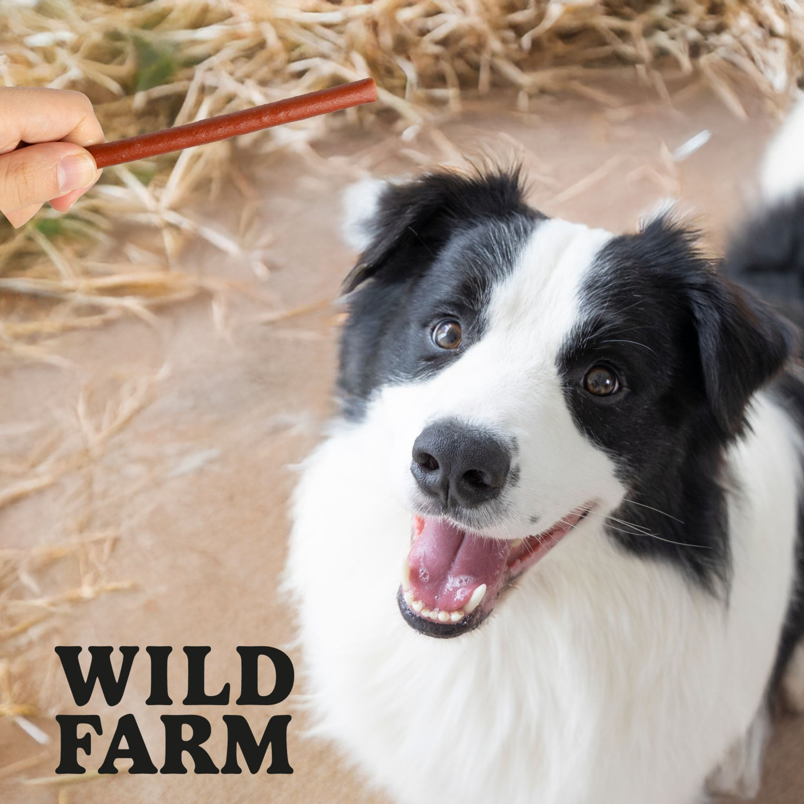 WILD FARM Paluszki Z Królika Przysmak Dla Psa 500G