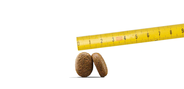 osera Adult Optiness 12,5kg