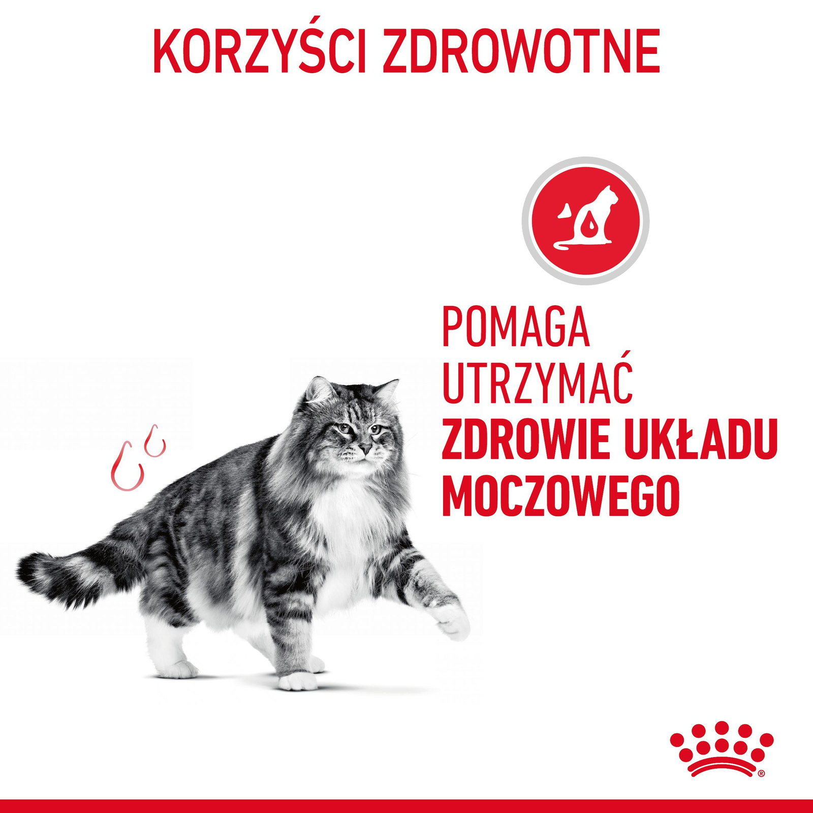ROYAL CANIN Urinary Care 400g