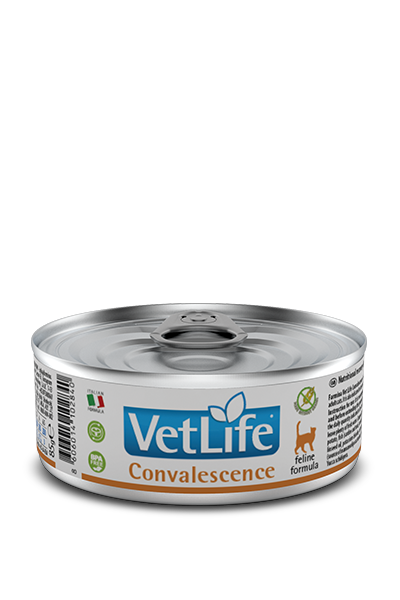 Farmina Vet Life Feline Convalescence 85g