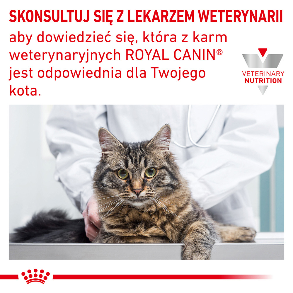 ROYAL CANIN Anallergenic Cat 4kg
