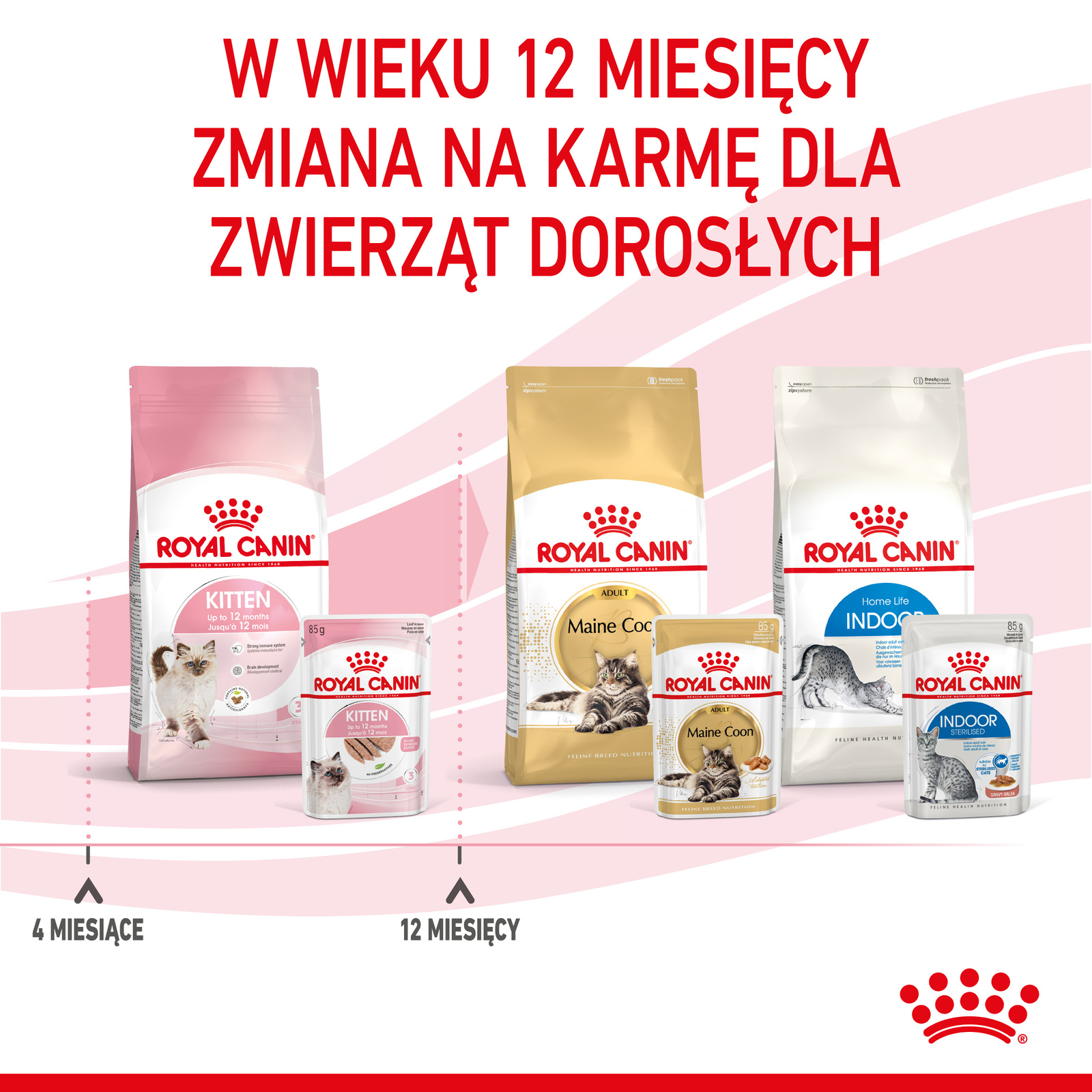ROYAL CANIN Kitten Pasztet 12x85g