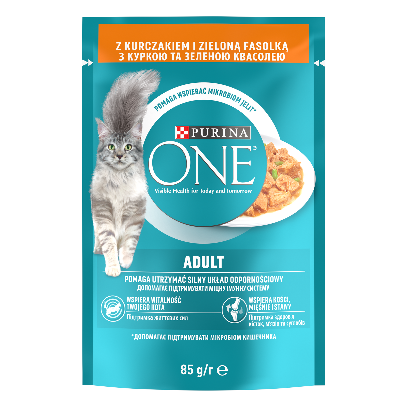 Purina One Adult Karma Dla Kota Z Kurczakiem I Zieloną Fasolką 85g
