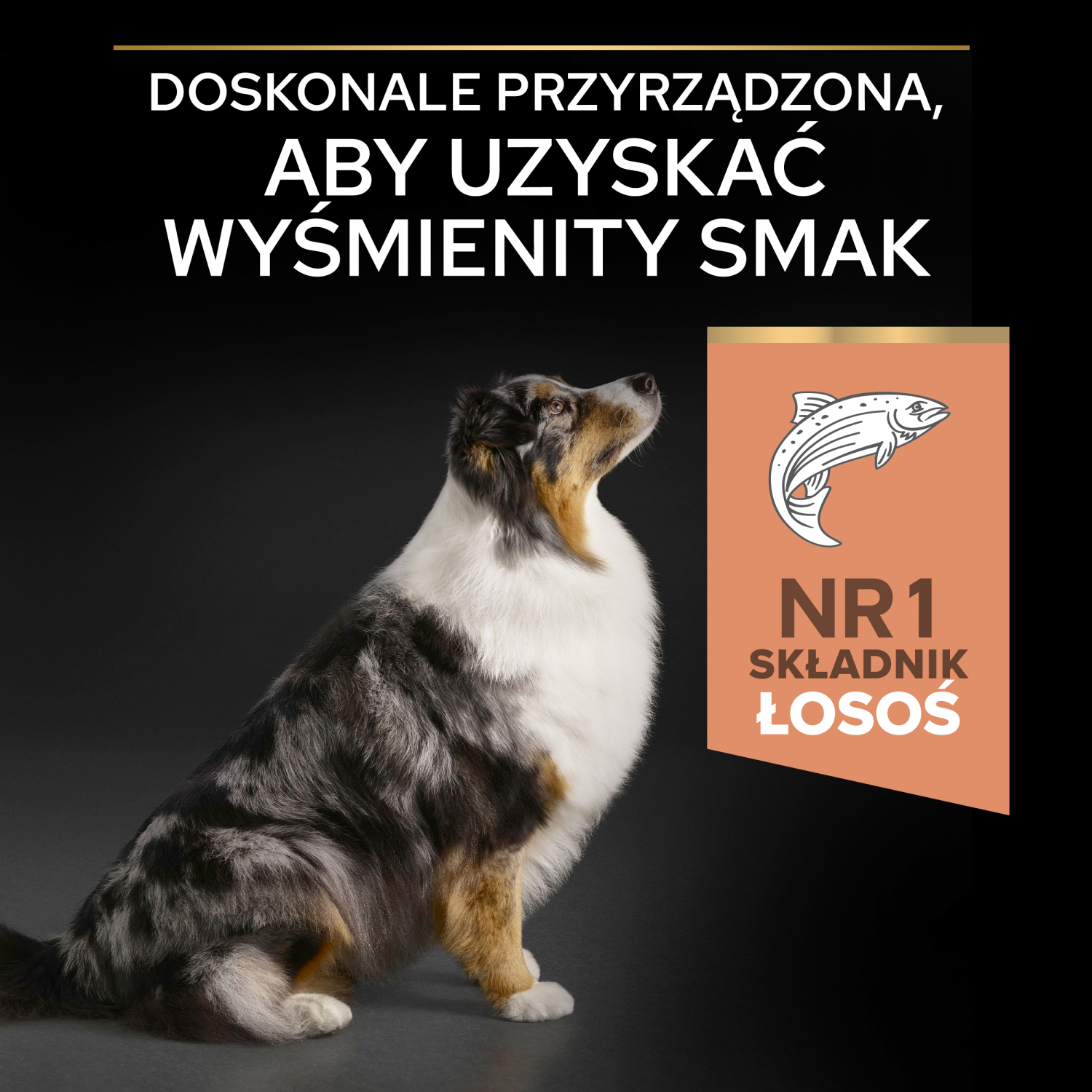Purina Pro Plan Medium & Large 7+ Sensitive Optiderma Łosoś I Ryż 14kg