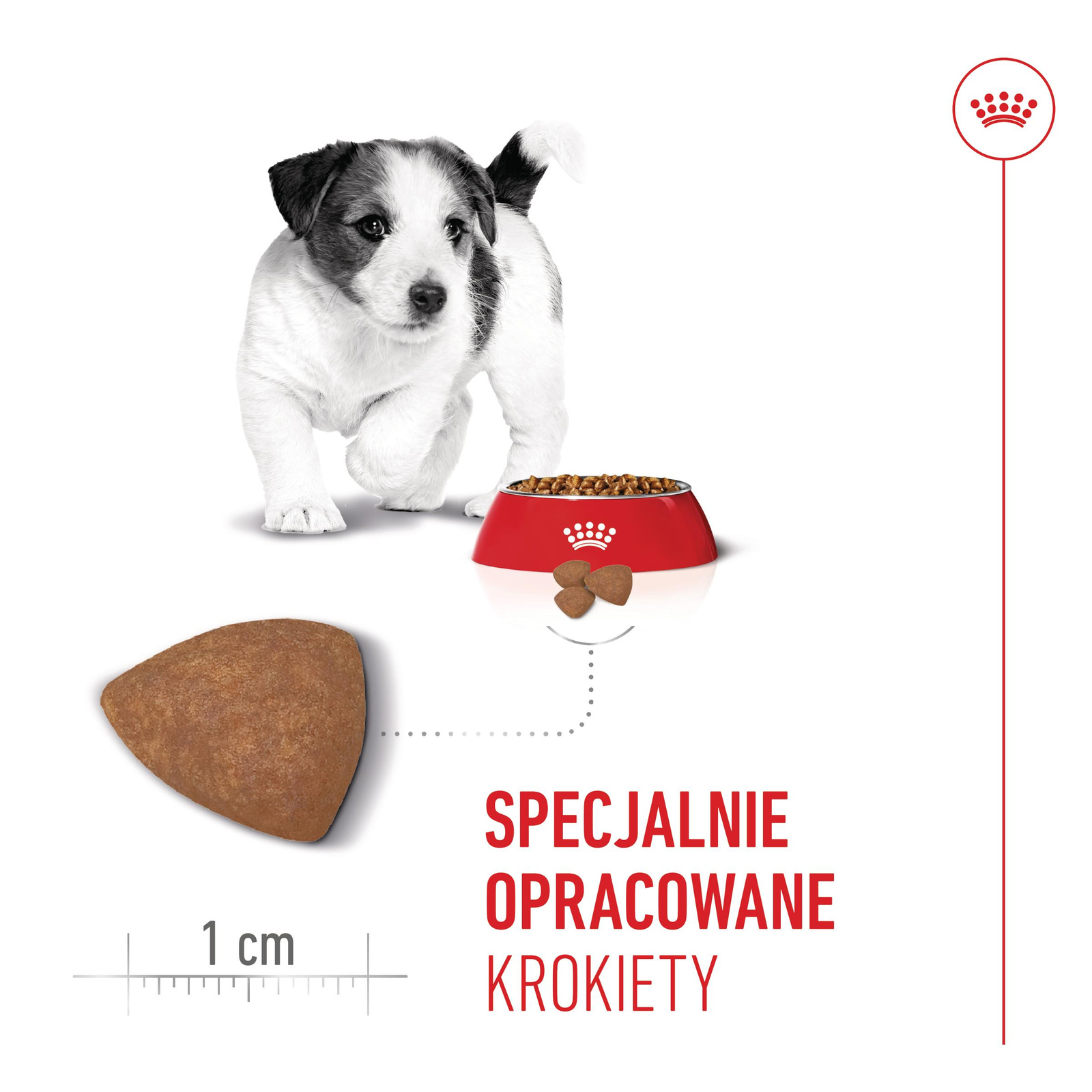 ROYAL CANIN Mini Puppy 8kg