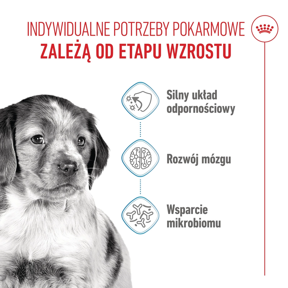 ROYAL CANIN Medium Puppy 1kg