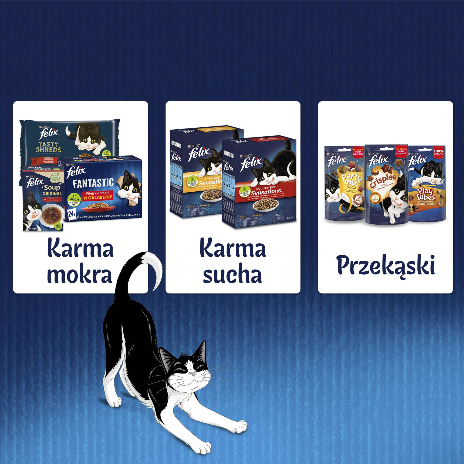 Felix Fantastic Mix Smaków W Galaretce Karma Dla Kota 44x85g